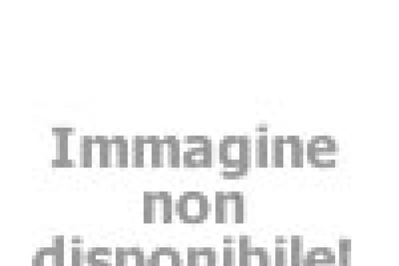 campingvillage it analisi-dei-turisti-2023 011